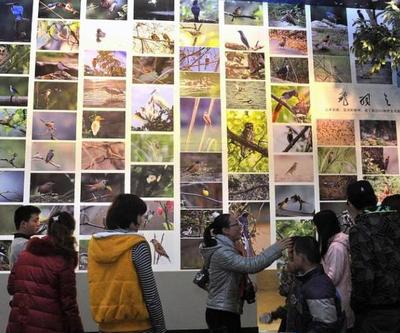 工廠礦山也能變景區？國家工業遺產旅游基地名單出爐 市場營銷策劃篇