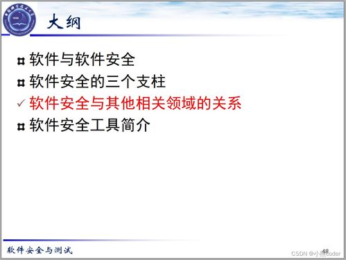 2024年網(wǎng)絡(luò)安全 軟件安全基礎(chǔ)、架構(gòu)組件與安全開(kāi)發(fā)詳解