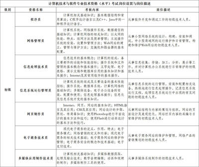 計(jì)算機(jī)信息技術(shù)咨詢服務(wù) 從職業(yè)資格認(rèn)證到行業(yè)實(shí)踐